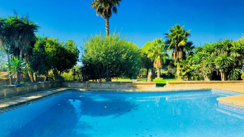 piscina+villa+zona+cesped+swimming+pool+Grasfläche